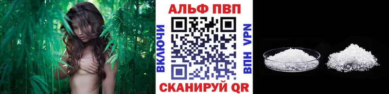Alpha PVP СК КРИС Оленегорск
