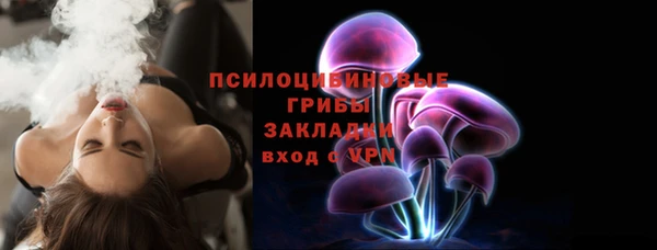 ПСИЛОЦИБИНОВЫЕ ГРИБЫ Навашино