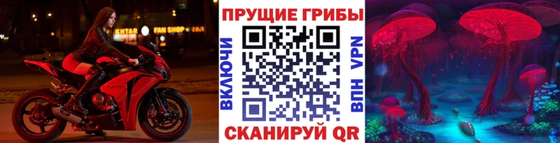 Галлюциногенные грибы Psilocybine cubensis  наркотики  blacksprut вход  Оленегорск 